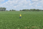 Soybeans July 2, Planted May 5